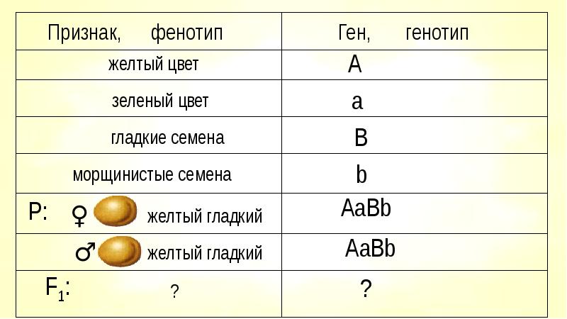 50 признаков. Табло Менделя.