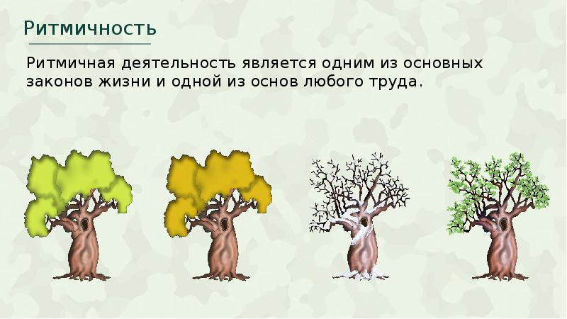 Ритмичность в биологии рисунок