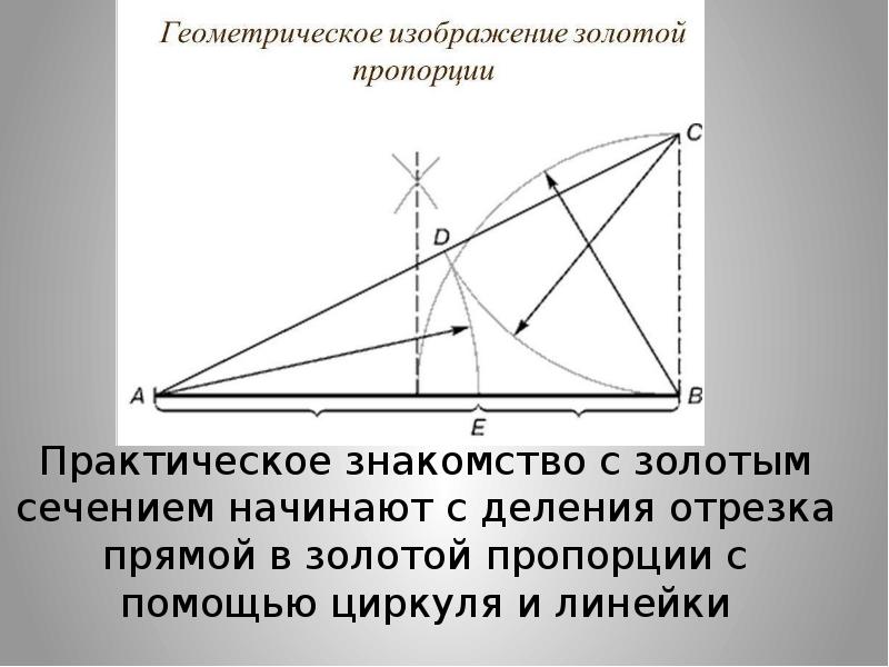 Геометрическое изображение золотой пропорции