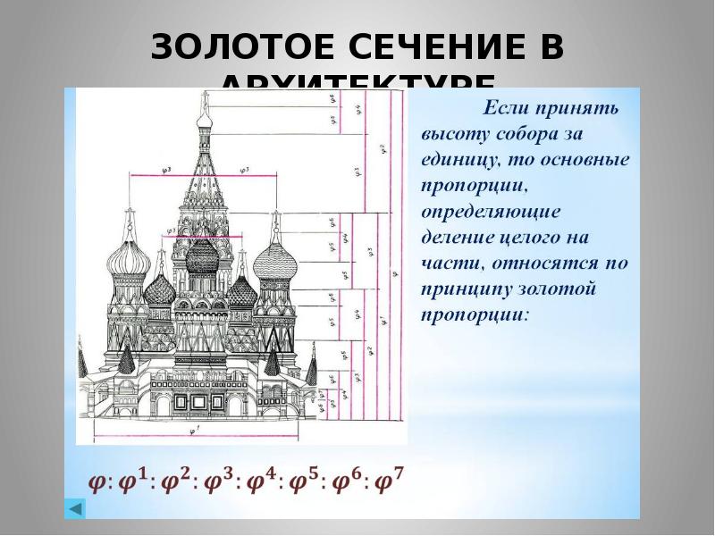 Золотое сечение и симметрия в природе проект