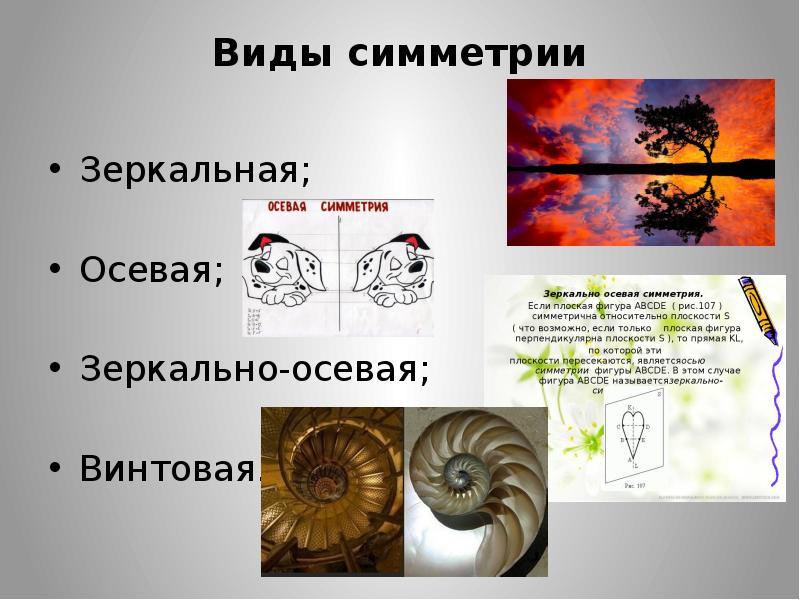 Золотое сечение проект 10 класс