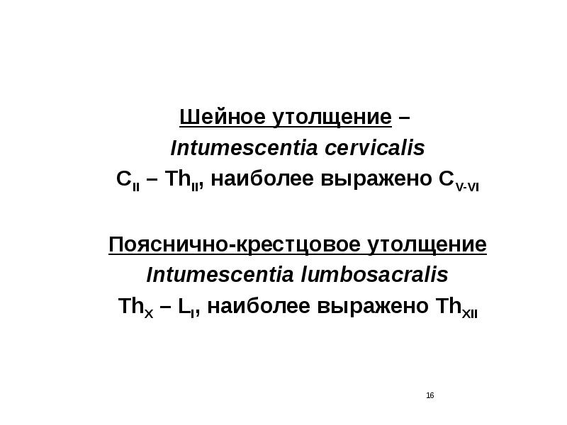 Более выражено