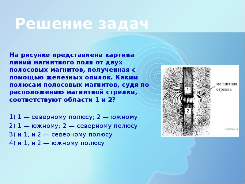 На рисунке представлена картина линий магнитного поля от двух полосовых магнитов полученная с