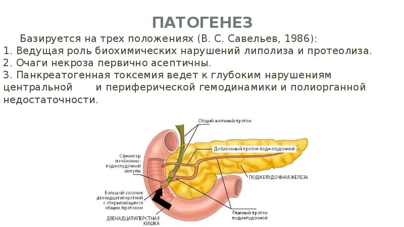 Методы диагностики панкреатита презентация