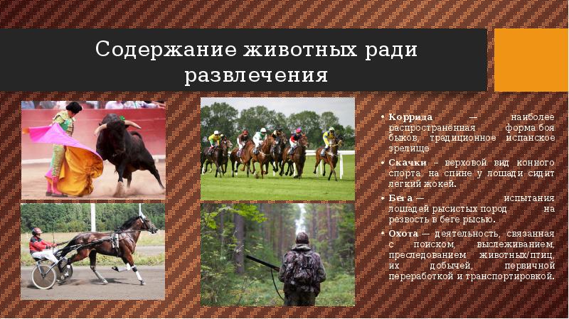 Содержание зверь. Первые трудности развлечение презентация. Бык пересказ 2 класс. Бык пересказ 4 слова 2 класс. Бык пересказ 4 слова.