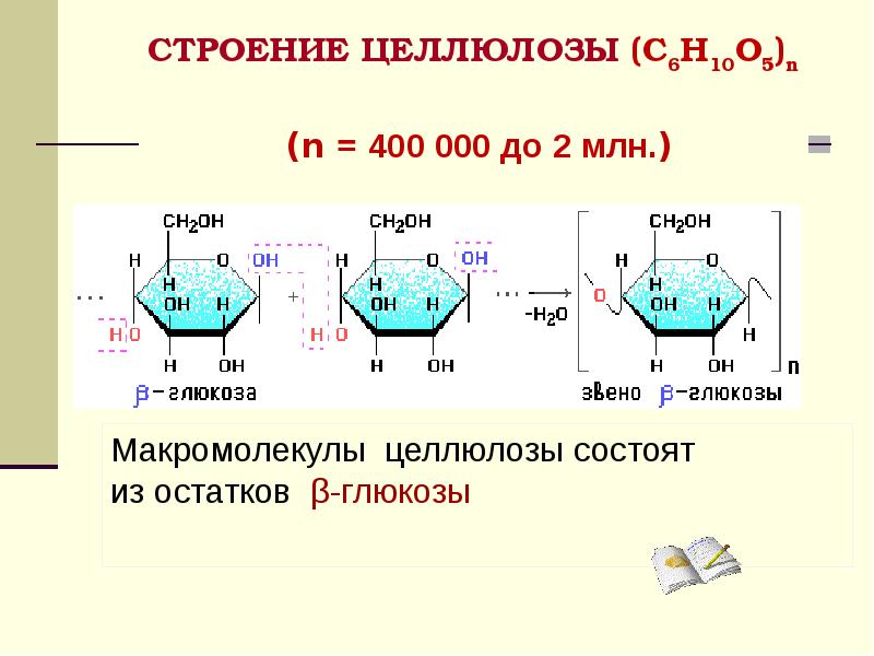 Строение крахмала и целлюлозы. Строение полимерной цепи крахмала. Строение макромолекулы целлюлозы. Структура макромолекул целлюлозы. Строение целлюлозы формула.