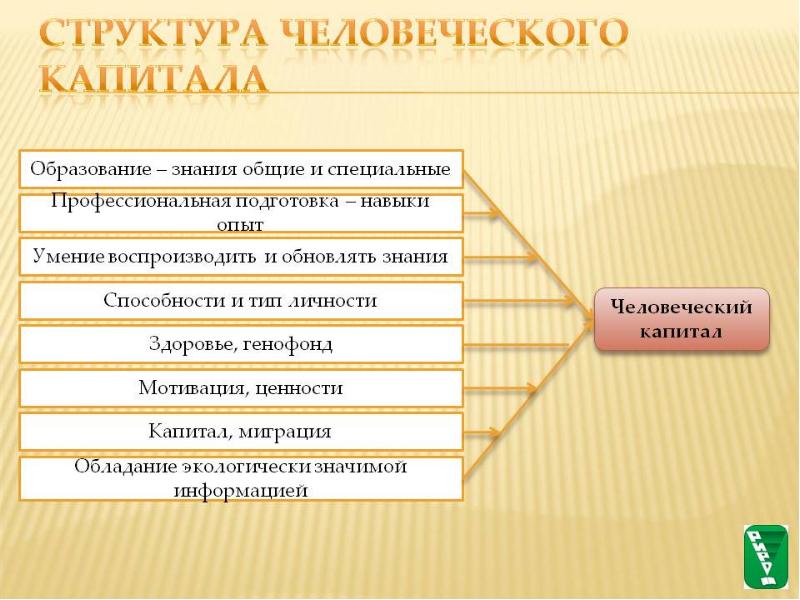 Человеческий капитал презентация 8 класс