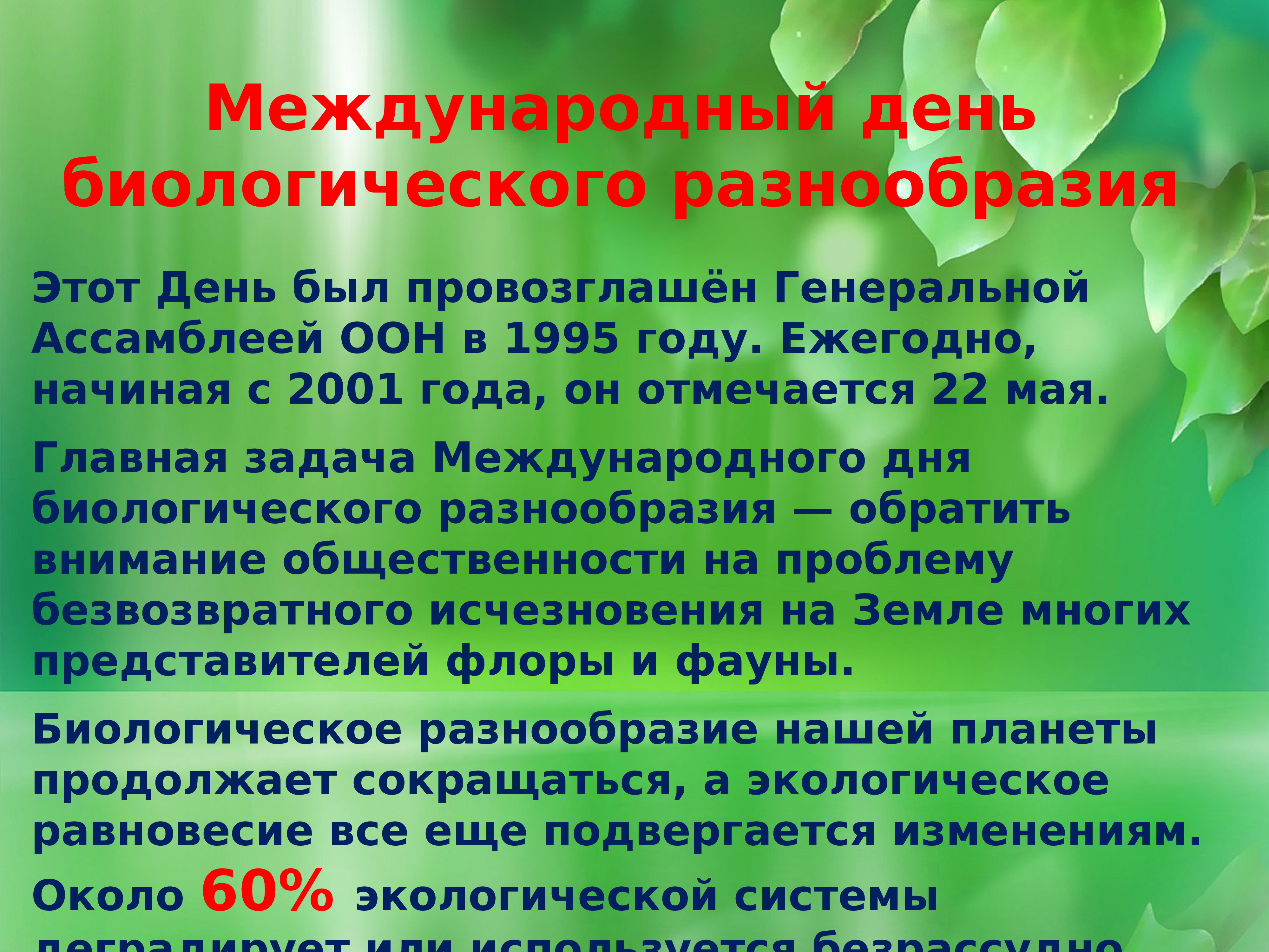 Проекты по сохранению биоразнообразия основные международные