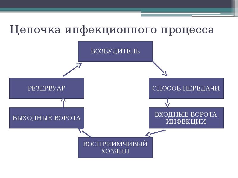 Структура вби схема