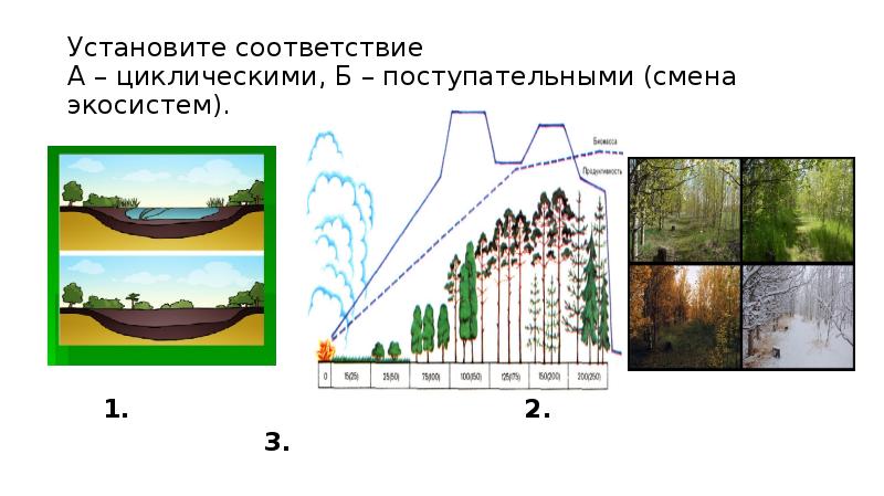 Объясните причины смены экосистем представленных на рисунке от а б в г