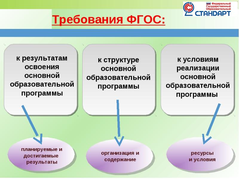 Проект специального федерального образовательного стандарта