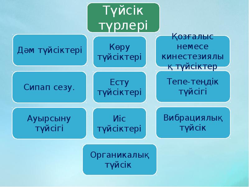 Түйсік және қабылдау презентация