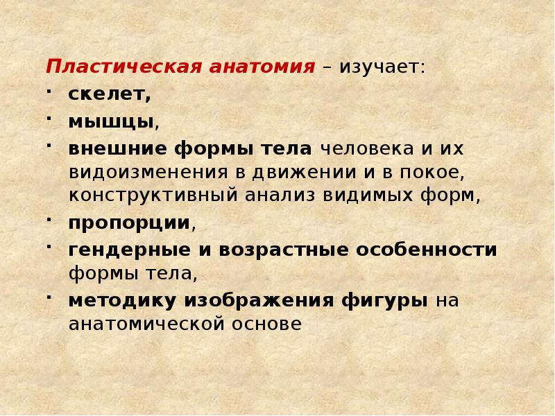 Пластическая анатомия – изучает: Пластическая анатомия – изучает: скелет, мышцы, внешние