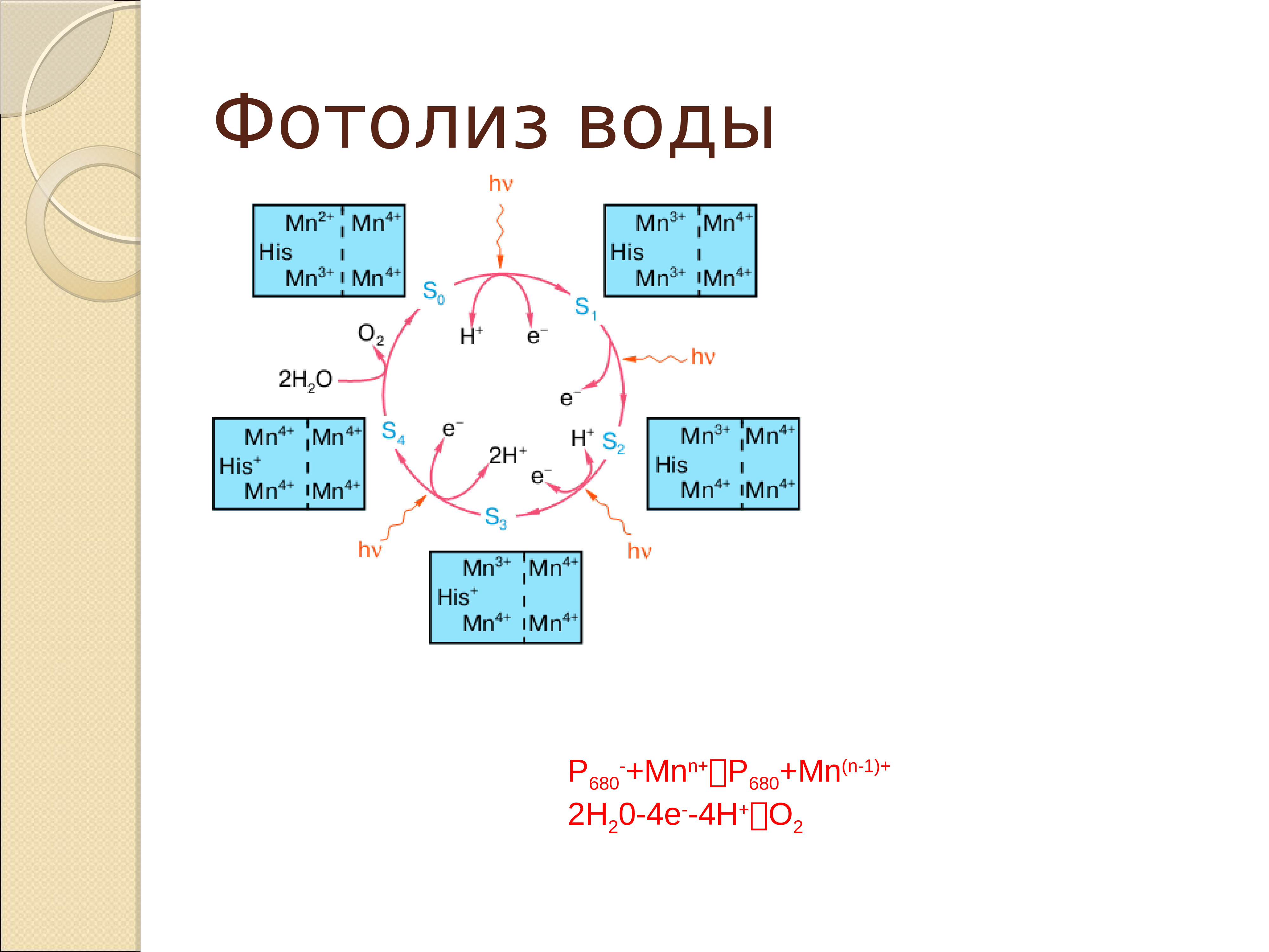 Фотолиз это процесс