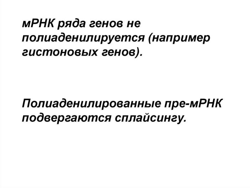 Презентация транскрипция 7 класс презентация