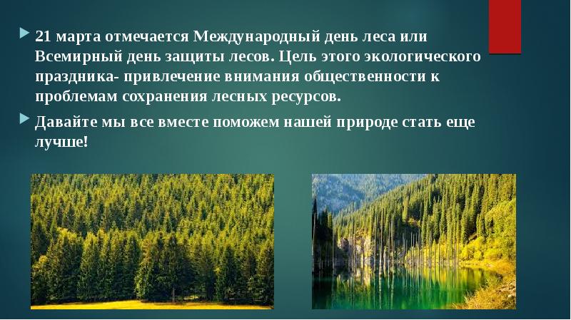 Всемирный день леса презентация для начальной школы