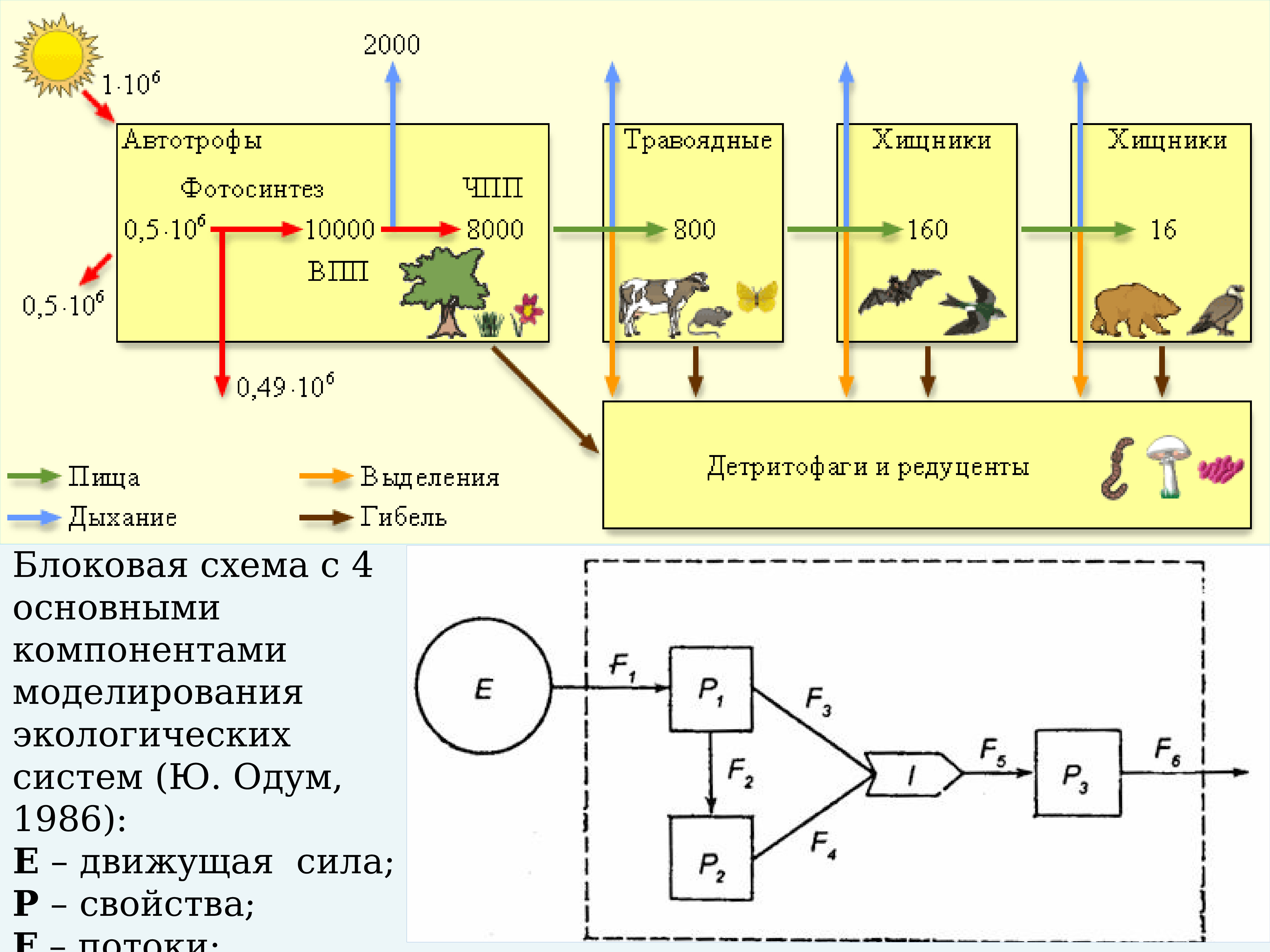 Моделирование экологической системы. Математическое моделирование в экологии. Математические модели в экологии. Метод математического моделирования в экологии. Моделирование экологических процессов.