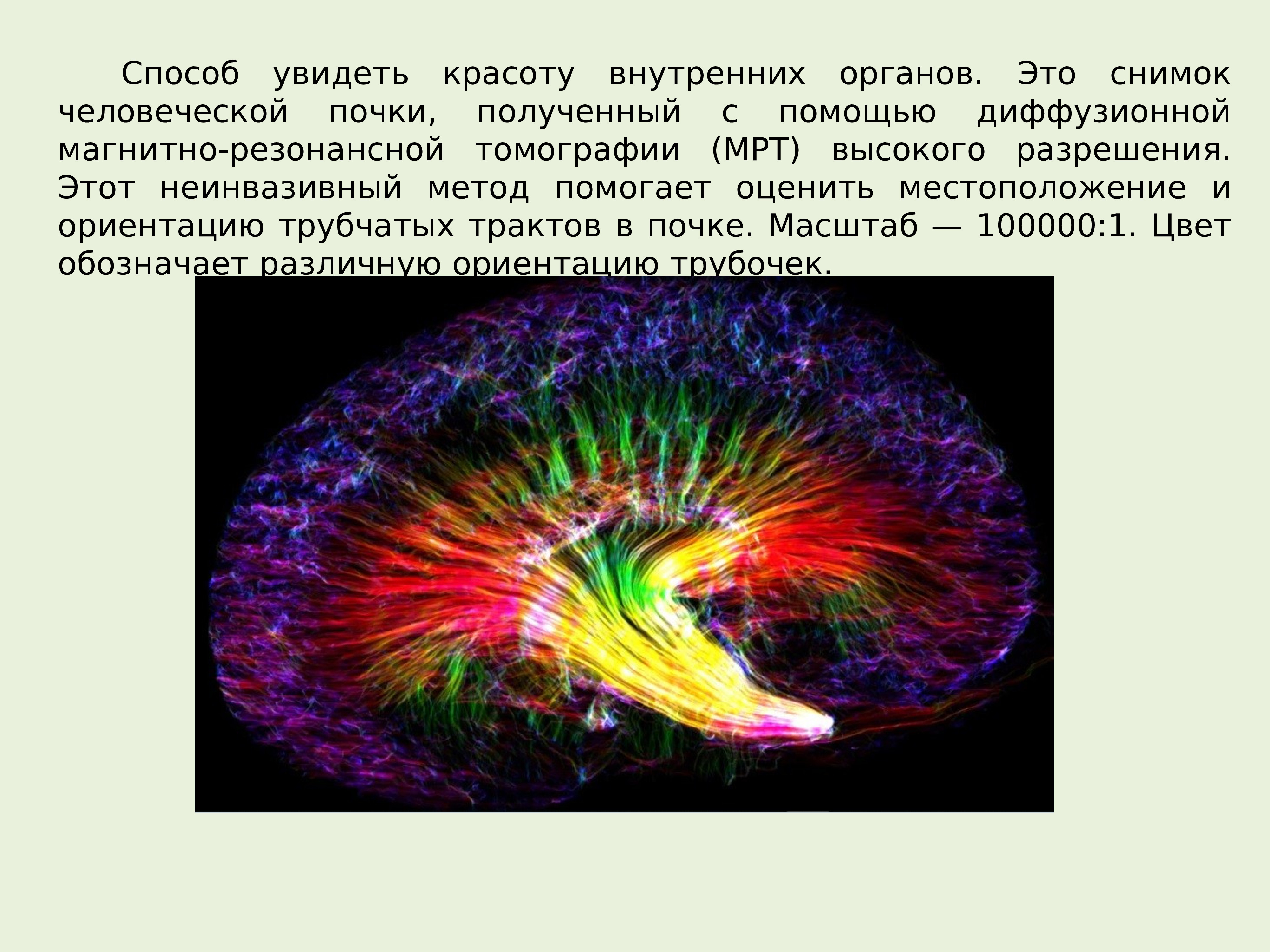 Математическое моделирование в экологии презентация