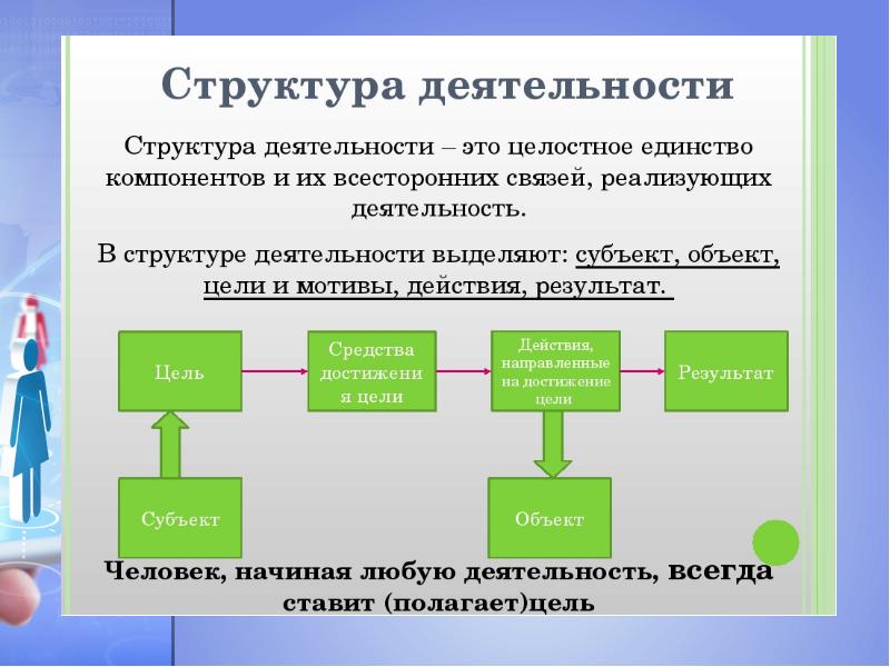 Многообразие мира профессионального труда презентация