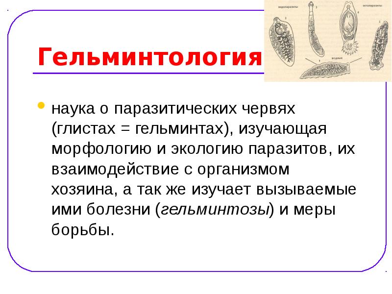 Гельминт как получить