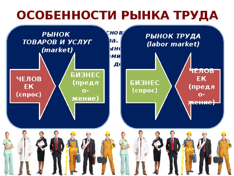 Рынок труда индивидуальный проект