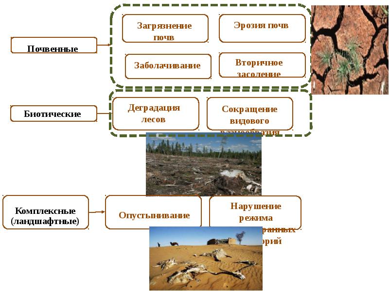 Схема эрозии почвы