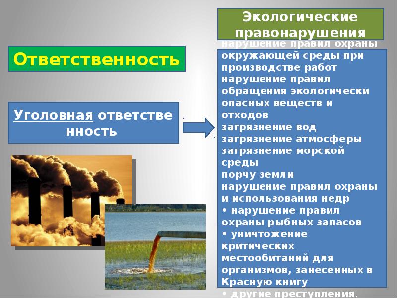 Экологическое право презентация 10