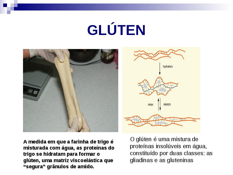GLÚTEN GLÚTEN