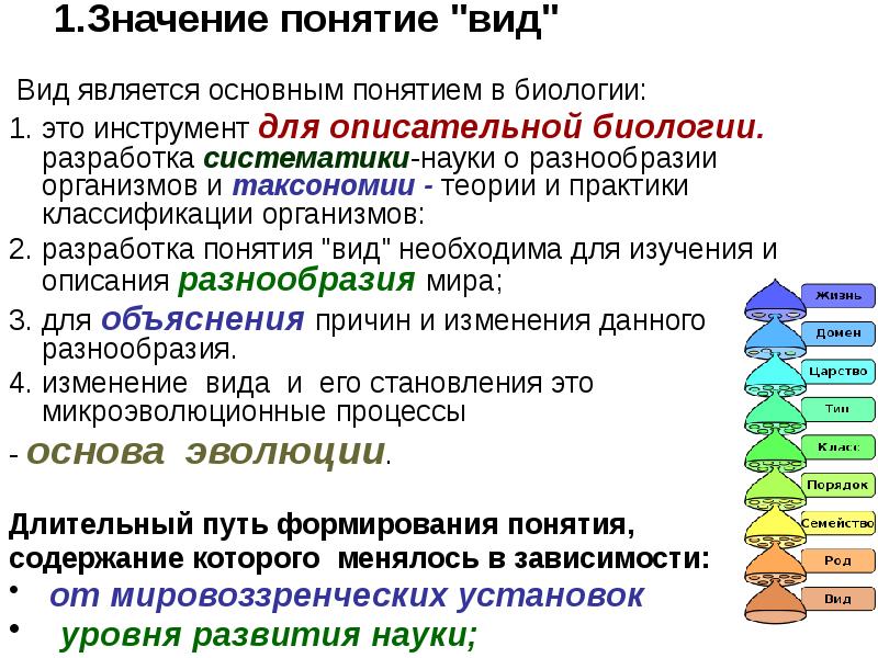 Термин вид ввел. Биологический вид. Тип термин в биологии. Вид его критерии и структура. Биологический глоссарий это.