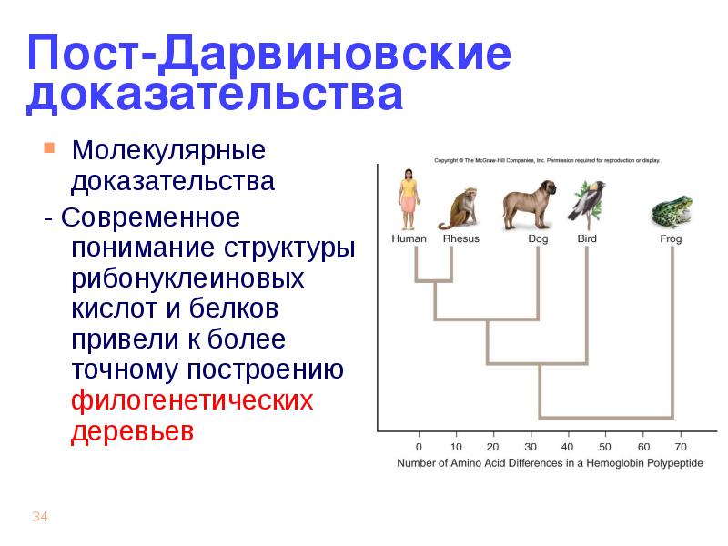 Эволюционные учения презентация - 97 фото