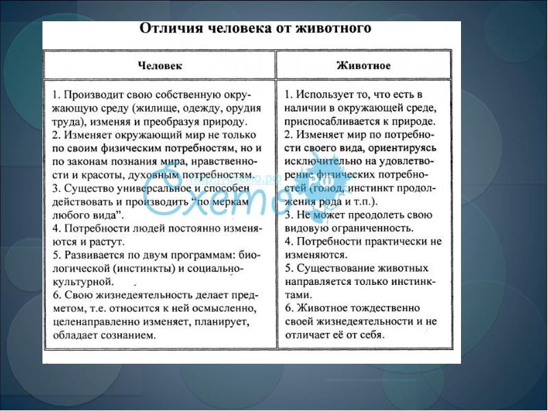 Человек обладает мышлением и членораздельной речью. Основные различия между человеком и животными. Сравнительный анализ психики животных и человека таблица. Отличия человека от животного 8 класс. Сравнение психики человека и животных таблица.