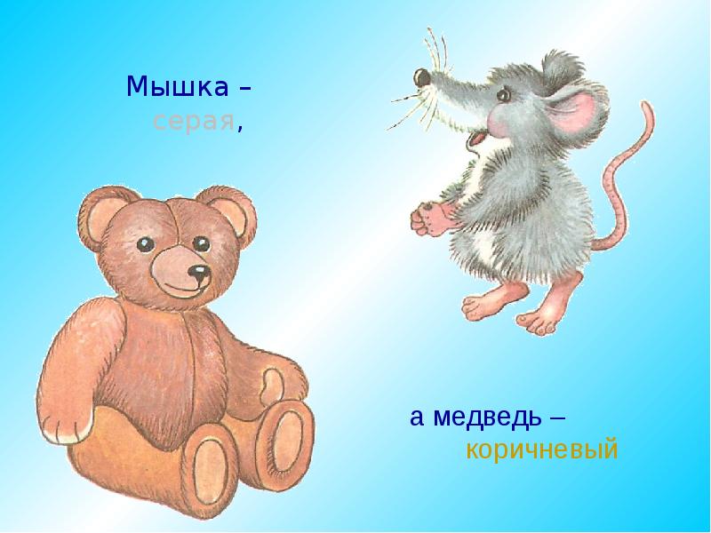 Коричневого мишки морфологический. "Серая мышка" способная на поступок.