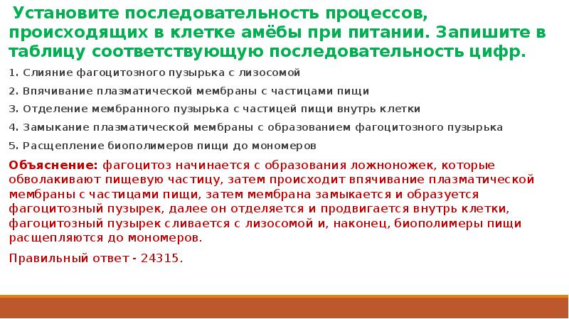 Установите последовательность процессов происходящих с мясной котлетой. Установите последовательность процессов происходящих с мясной котлетой
