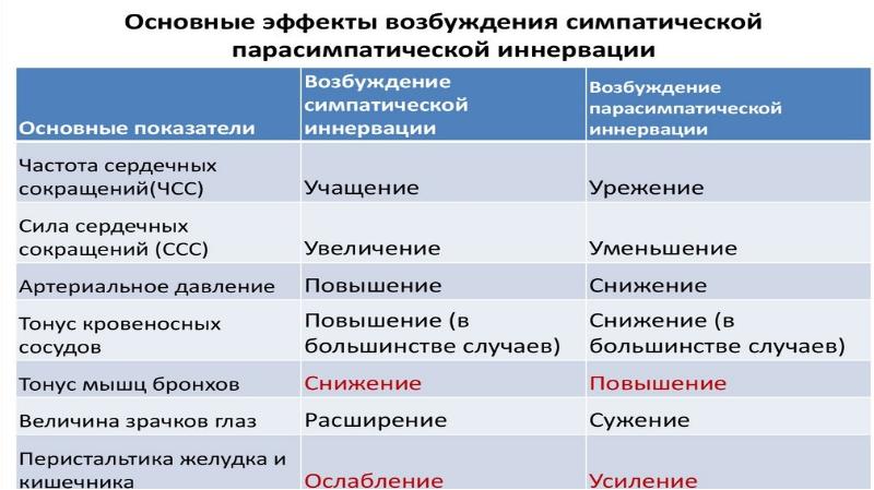 Политика 11 класс егэ презентация