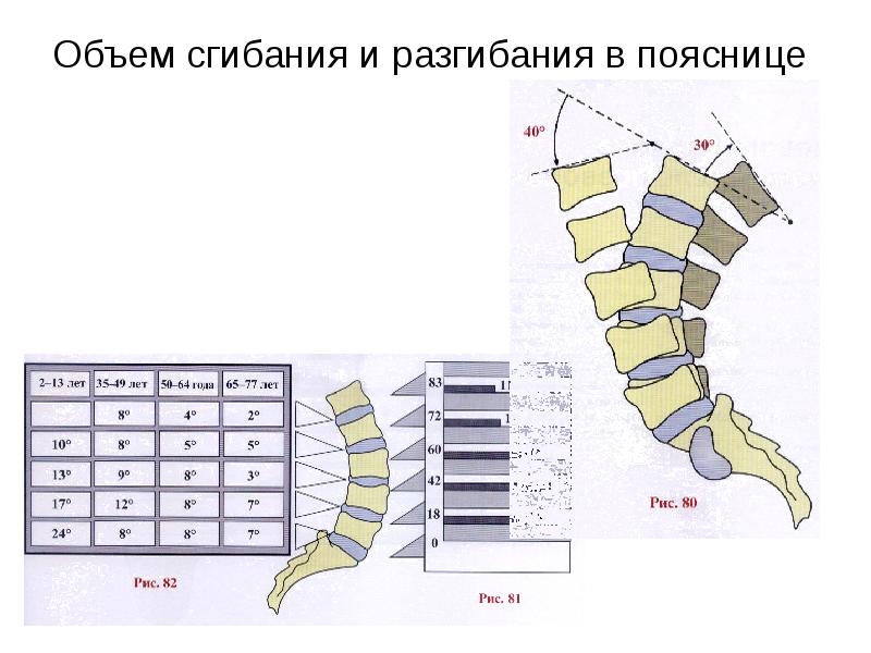 Анатомия поясничного отдела позвоночника презентация