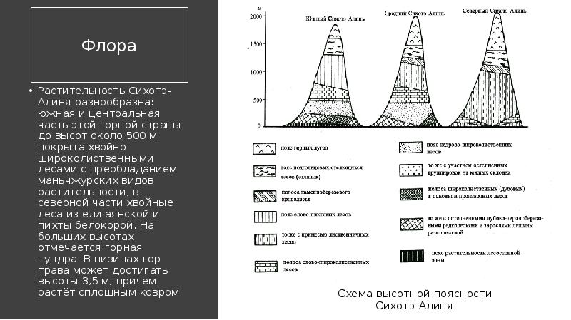 Схема высотной поясности гор дальнего востока