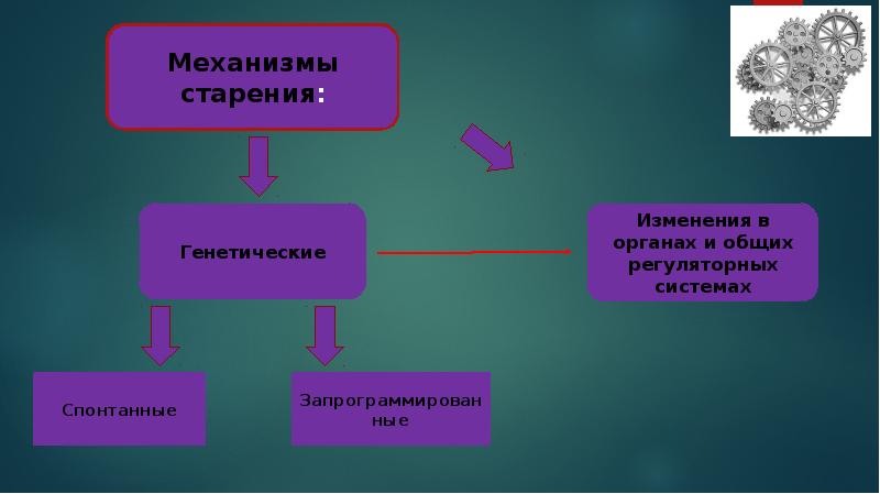 Презентация на тему старение