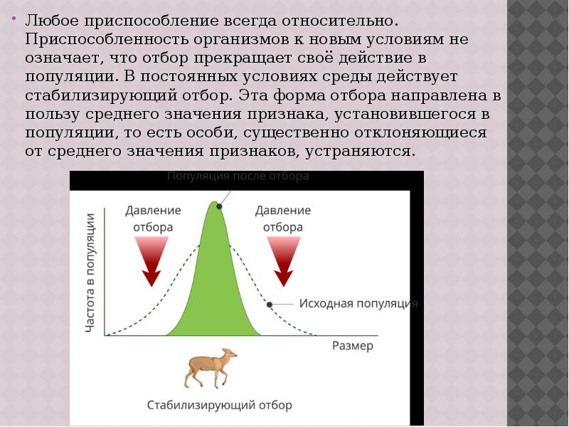 Любое приспособление всегда относительно. Приспособленность организмов к новым условиям не означает,