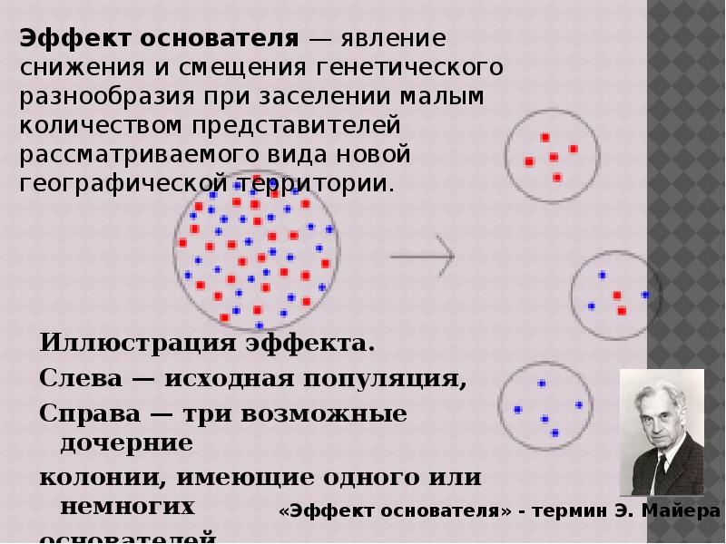 Иллюстрация эффекта.  Иллюстрация эффекта.  Слева&nbsp;— исходная популяция, Справа&nbsp;— три