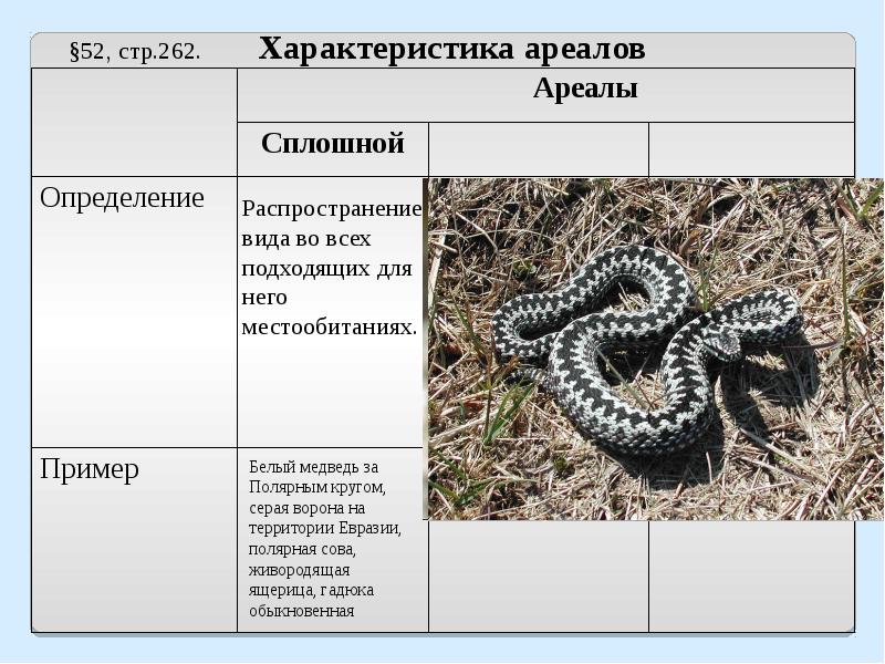 Ареалы обитания миграции презентация