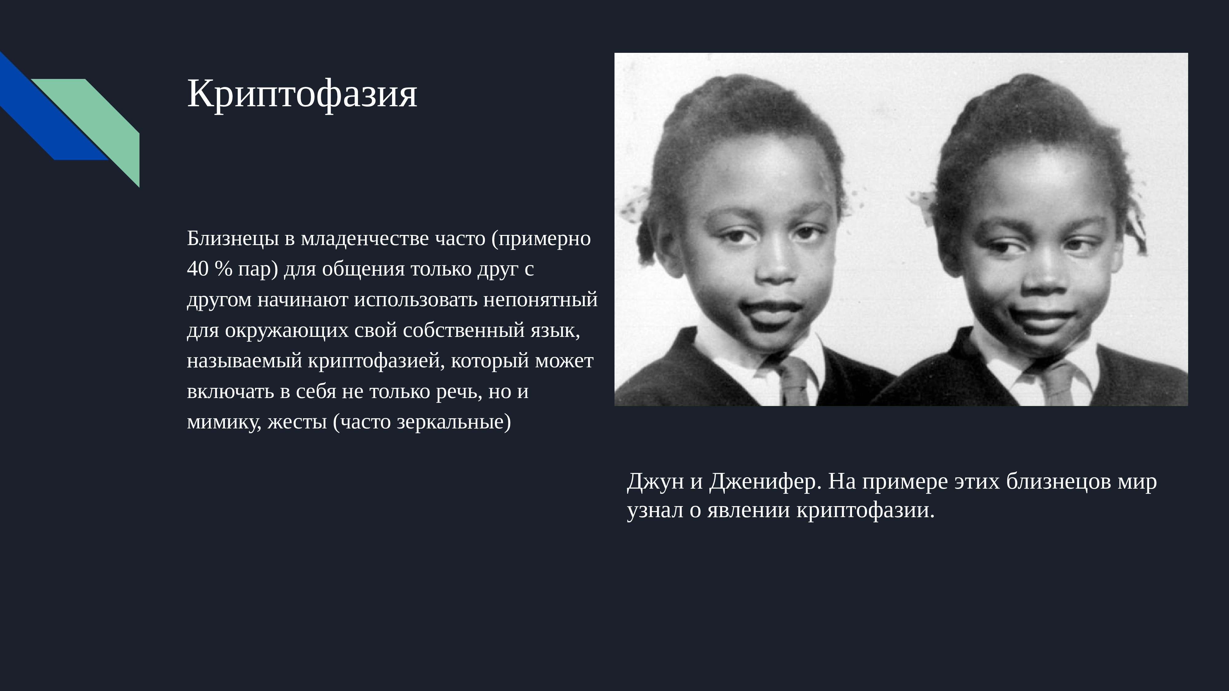 Насколько близнецы. Презентация на тему Близнецы. Речь близнецов. Близнецы для презентации. Двойняшки научный.