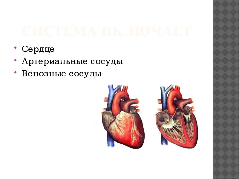 Включи сердца 3 2. Включи сердце. Как включить сердце. Сердце ад Макс 185.