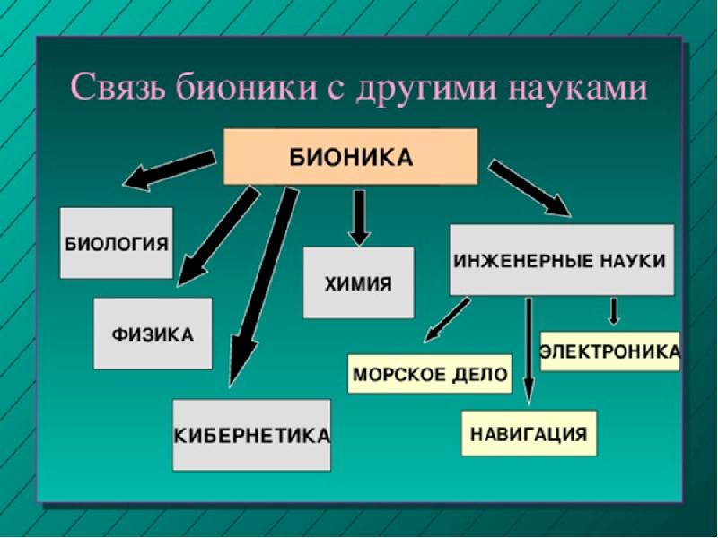 Презентации на тему бионика