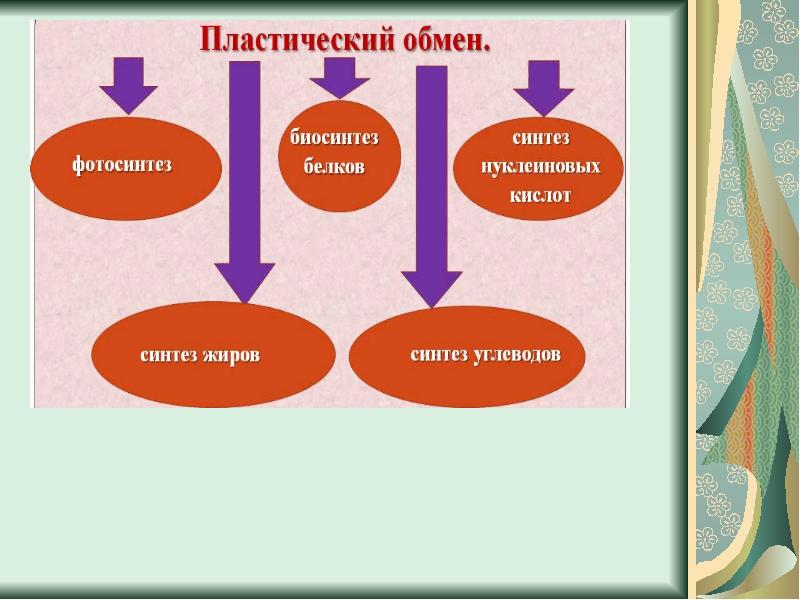 Игра для 8 класса по биологии презентация