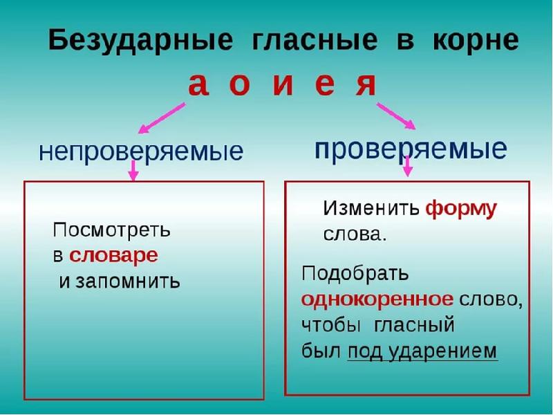 Корни русского языка презентация