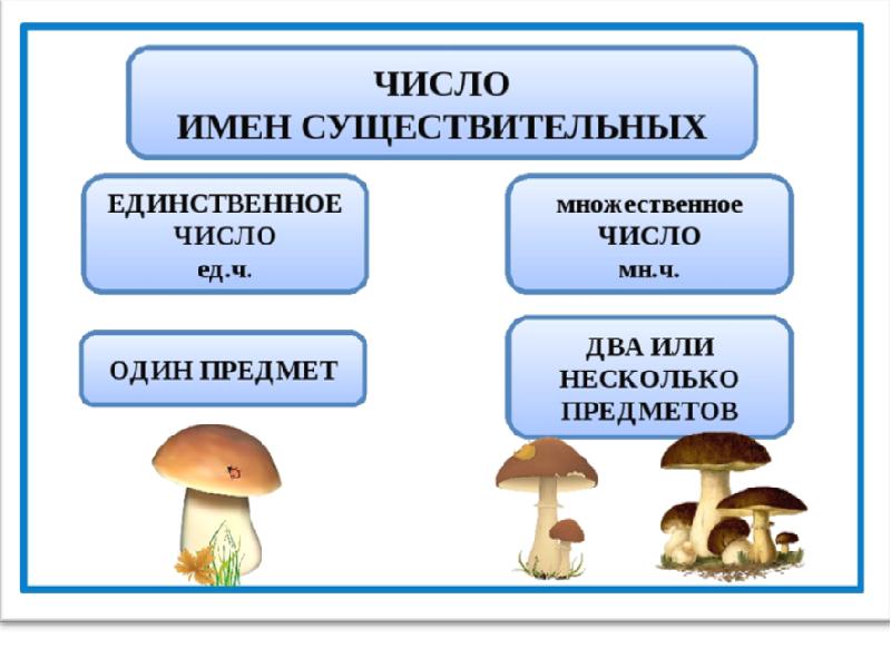 Обобщение русский язык 1 класс презентация