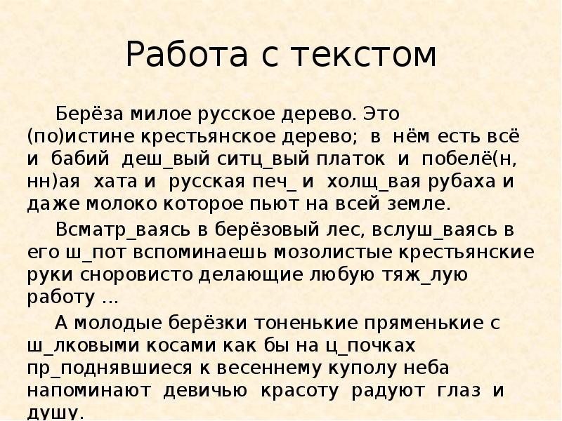 Береза милое русское