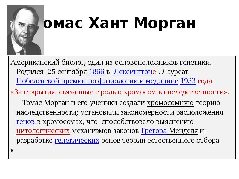 Основоположник генетик. Хант Морган Витте. Хант Морган Витте адвокат. Томас Хант Морган сцепленное наследование. Томас Хант Морган и Мендель.