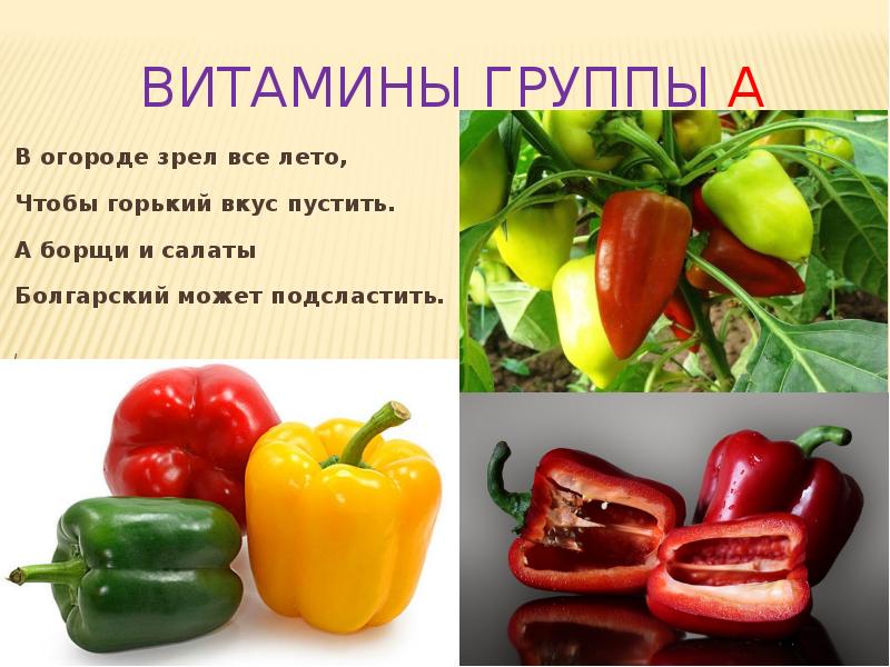 Калакуток горько сладкий вкус. Горькие витамины. Какие овощи имеют Горький вкус. Горькие продукты на вкус. У какого растения Горький вкус.