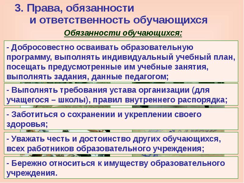 Обязанности и ответственность обучающихся презентация